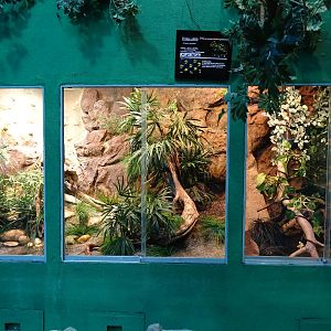 Rat snake enclosures