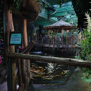 Alligator enclosure