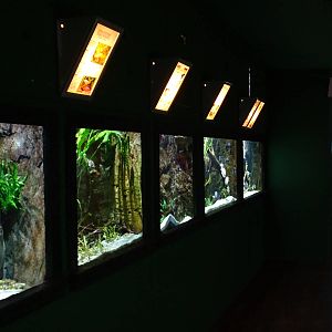 Freshwater tanks