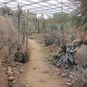 Burgers' Desert - General view