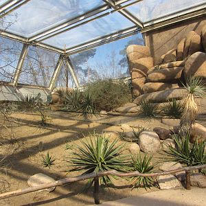 Burgers' Desert - Roadrunner and burrowing owl aviary
