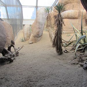 Burgers' Desert - Roadrunner and burrowing owl aviary