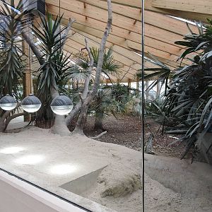 Tropiquarium de Servion - New komodo dragon enclosure