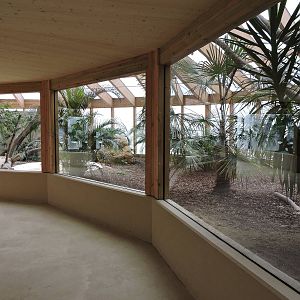 Tropiquarium de Servion - New komodo dragon enclosure