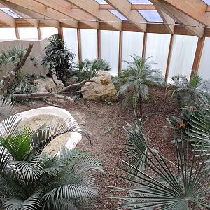 Tropiquarium de Servion - New komodo dragon enclosure