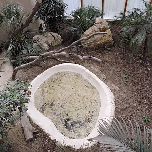 Tropiquarium de Servion - New komodo dragon enclosure