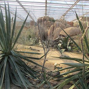 Burgers' Desert - General view