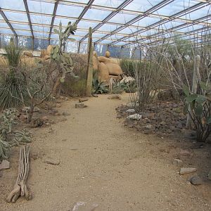 Burgers' Desert - General view