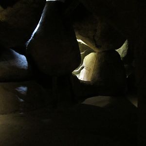 Burgers' Desert - General view of one of the caves.