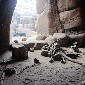 Burgers' Desert - Rattlesnake enclosure