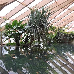 Tropiquarium de Servion - Siamese crocodiles exhibit