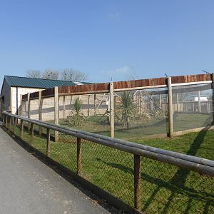 New South American primate exhibit