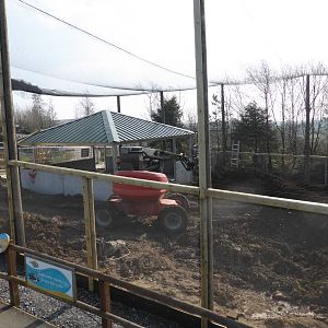 Chilean flamingo aviary under construction .