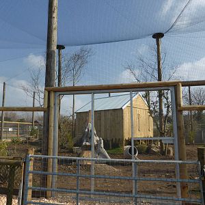 African Birds Aviary almost ready for inhabitants .