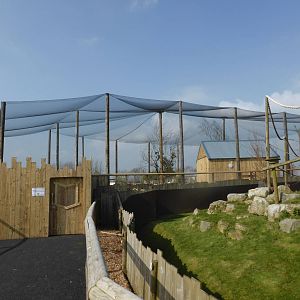 New African Birds Aviary , almost completed .