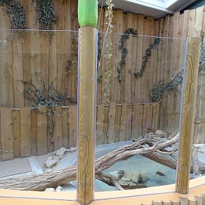 Red-eared slider enclosure