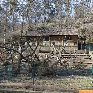 South-American coati enclosure