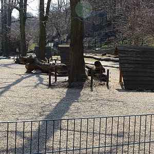 Duck/geese enclosure