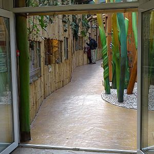 Kids Jungle reptile enclosures