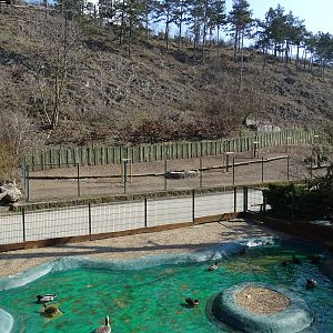 Blackbuck / waterfowl enclosures