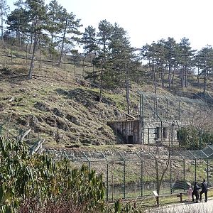 Kamchatka bear enclosure