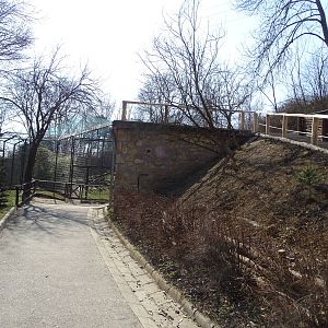 Snow leopard enclosure from below