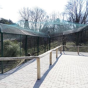 Snow leopard enclosure from above