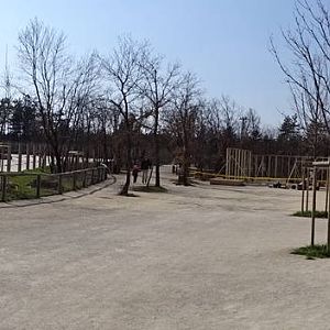 Elephant enclosure, giraffe house