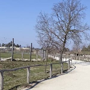 Part of the savannah and camel enclosures
