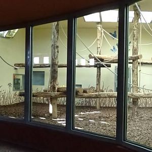 Chimpanzee indoor enclosures