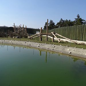 Chimpansee enclosure 1
