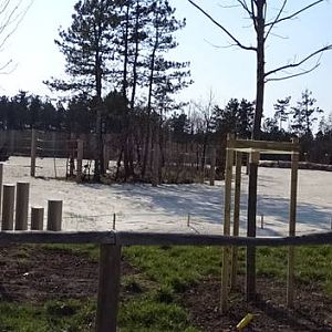 Asian elephant enclosure