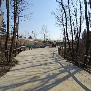 Construction site - penguins?