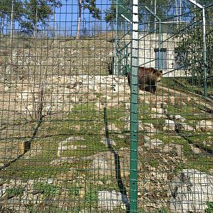 part of the Kamchatka bear enclosure