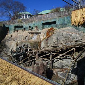 Hamadryas Baboon Enclosure - 24/03/15