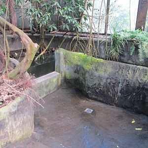 Burgers' Mangrove - Aquarium