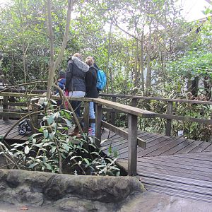 Burgers' Mangrove - General view