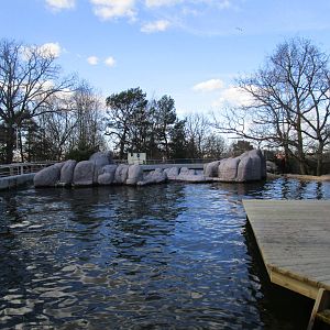 Grey Seal Enclosure - 24/03/15