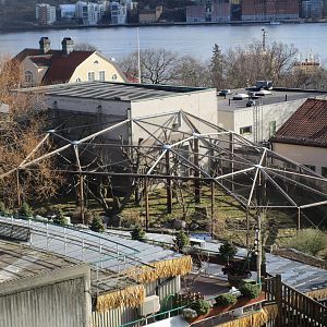 Mau Forest Guezera Enclosure - 24/03/15