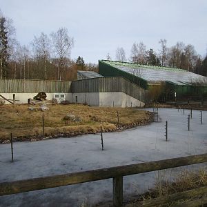 Chimpanzee Summer Enclosure - 25/03/15