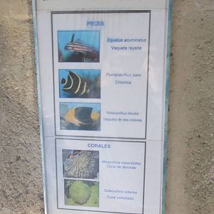 sign acuario nacional