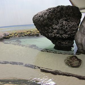 Burgers' Ocean - Beach