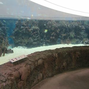 Burgers' Ocean - Lagoon #2