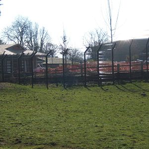 View Islands Construction work