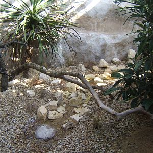 View of Parrot Breeding Centre aviary