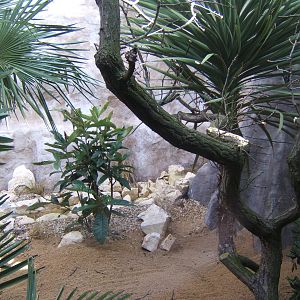 View of Parrot Breeding Centre aviary