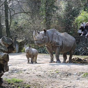 Olmoti and her mother