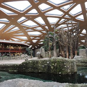 Kaeng Krachan Elephant Park