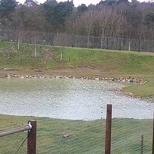 Victor and Pizel 29th March 2015