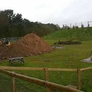 Giant Otter enclosure Construction 29th March 15